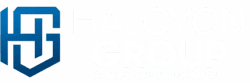 Halcyon Group a Team Halcyon LLC Brand