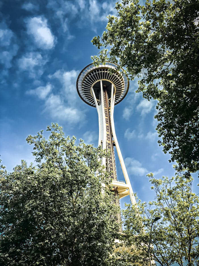 The iconic Space Needle tower in Seattle framed by trees and a blue sky.